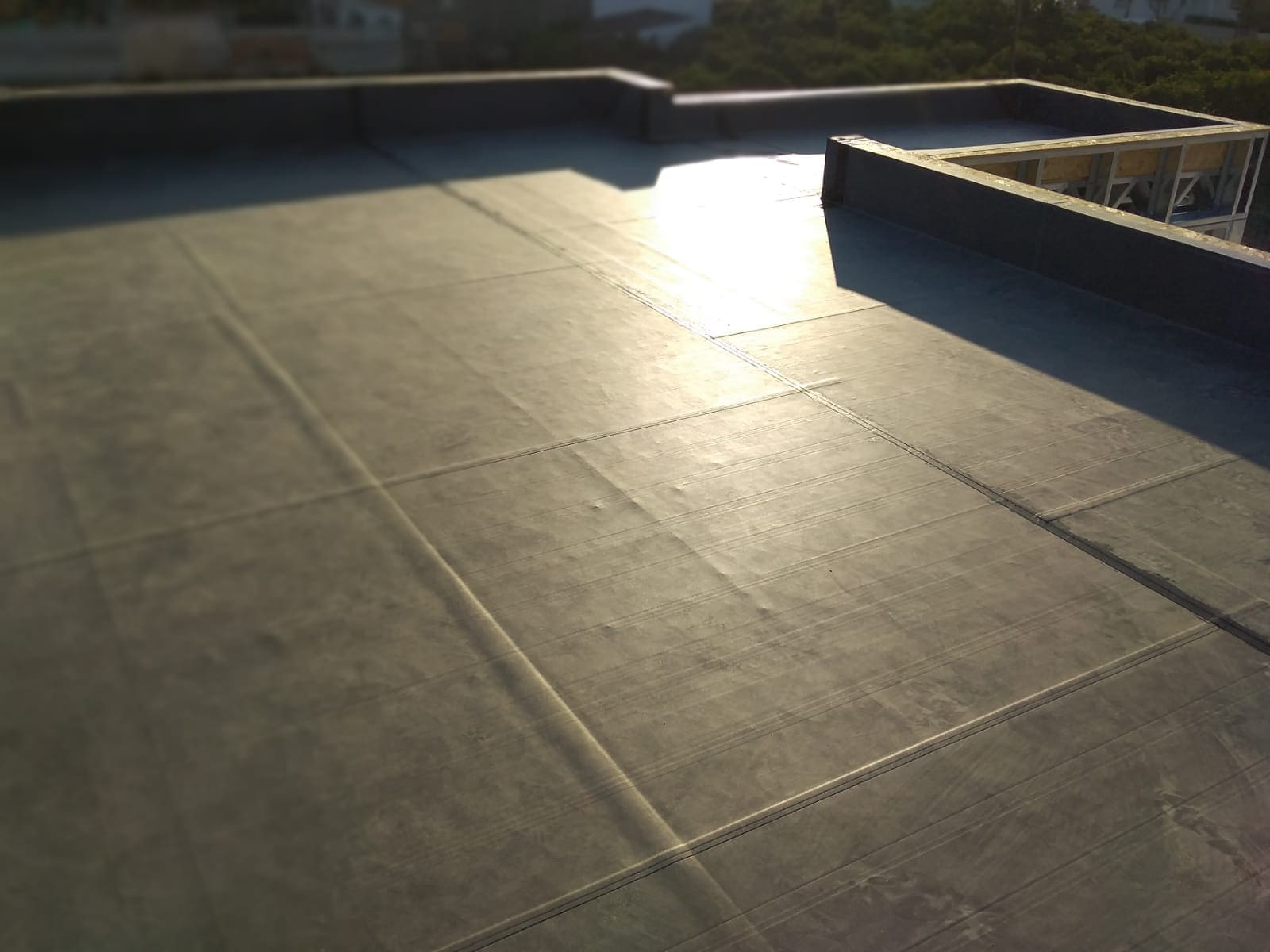 Acerma Housing - Selma